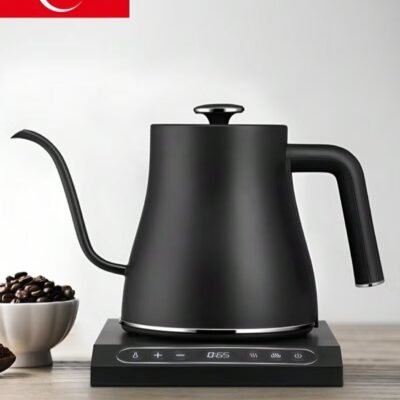 EDOOLFFE electric gooseneck kettle