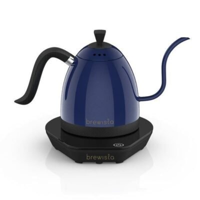 BREWISTA ARTISAN 0.6L GOOSENECK VARIABLE KETTLE – SPORTS