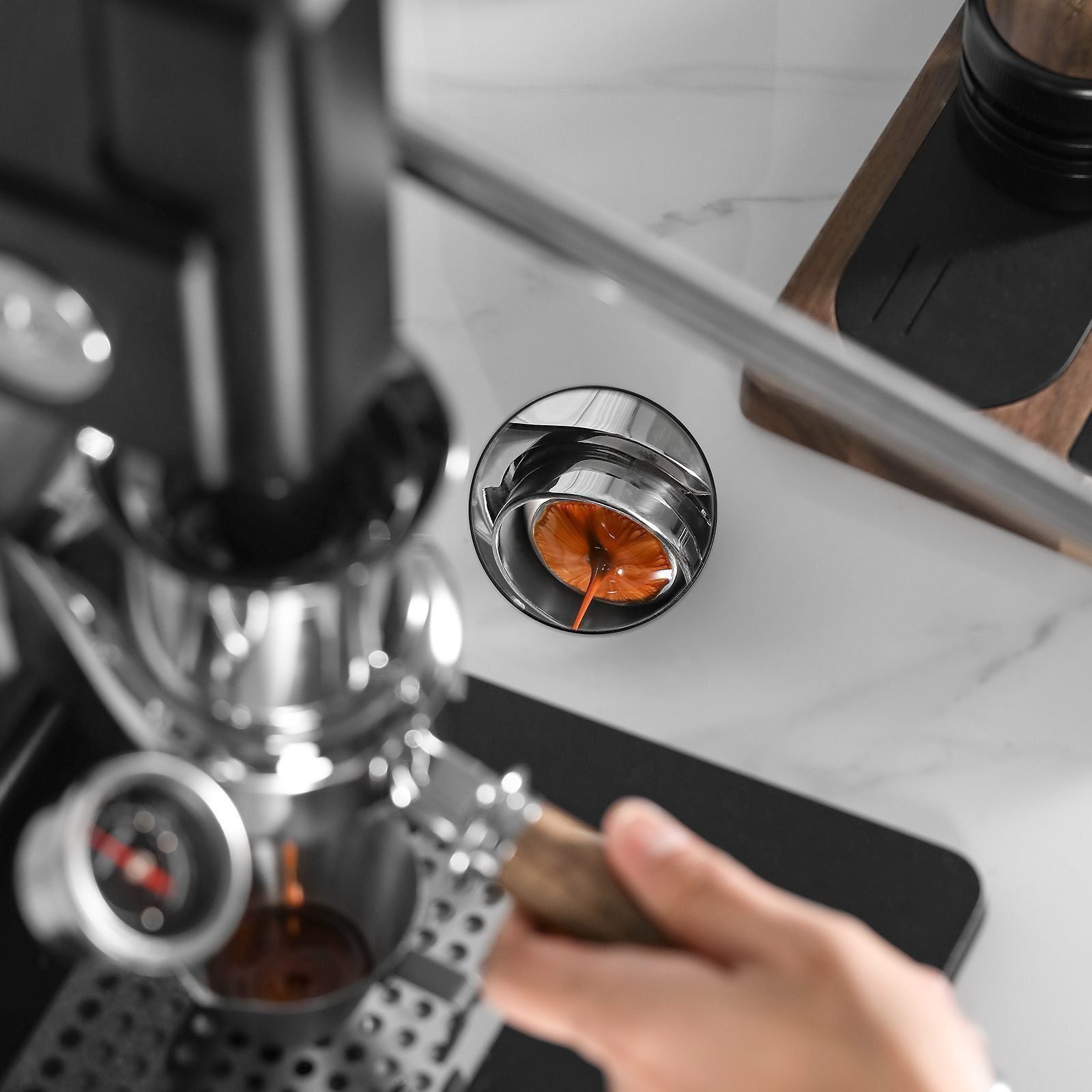⁦Mhw Coffee Extraction Observation M5503 Mirror Black⁩ - الصورة ⁦3⁩